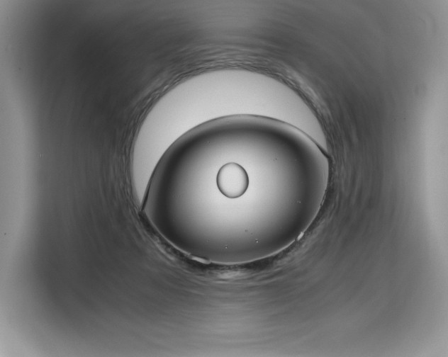 X0000110320313200905211531