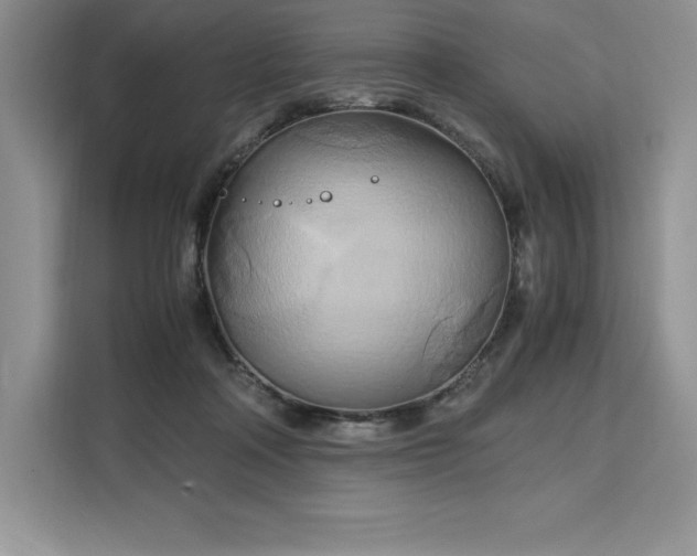X0000110320314200905211531