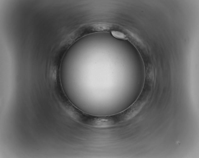 X0000110320315200905211531