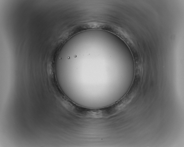 X0000110320317200905211531