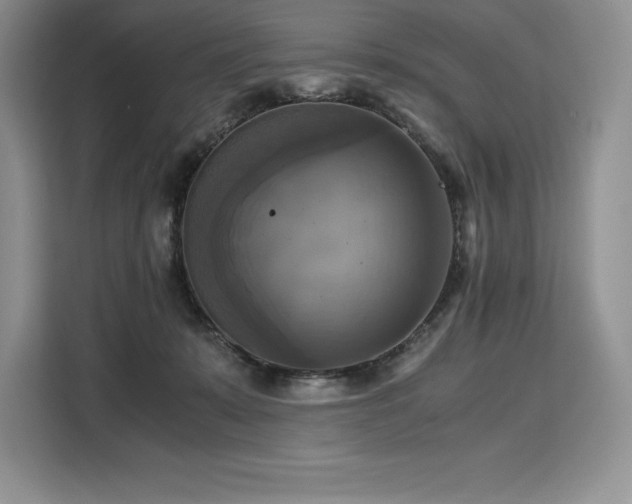 X0000110320319200905211531