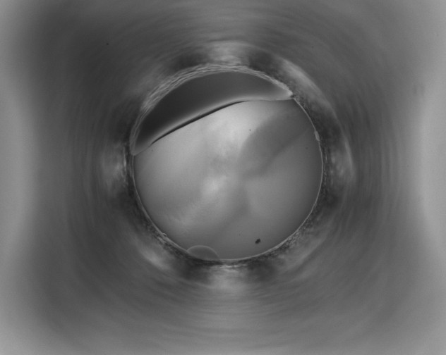 X0000110320320200905211531