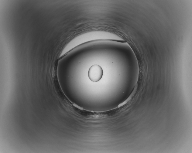 X0000110320323200905211531