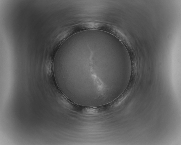 X0000110320325200905211531