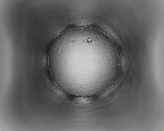 X0000110320326200905211531