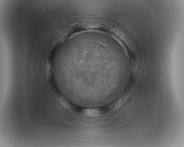 X0000110320327200905211531