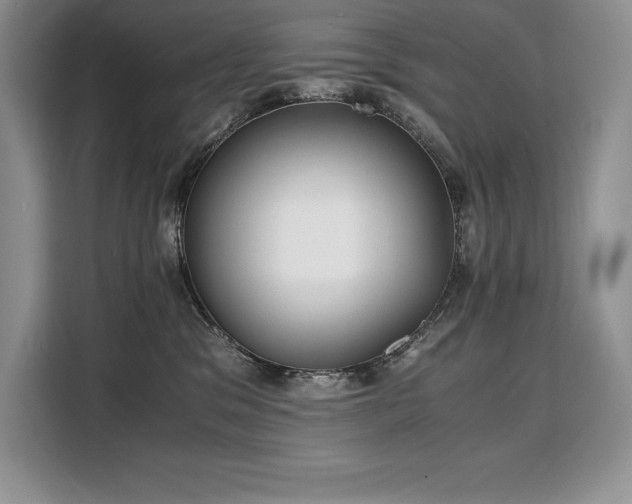 X0000110320329200905211531