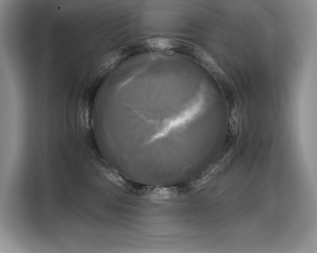 X0000110320330200905211531