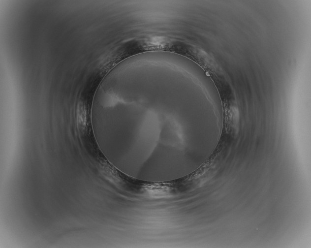 X0000110320331200905211531