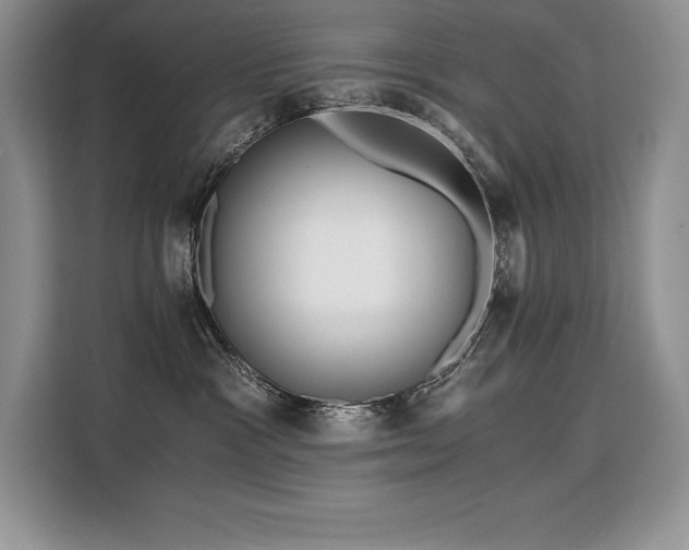 X0000110320333200905211531
