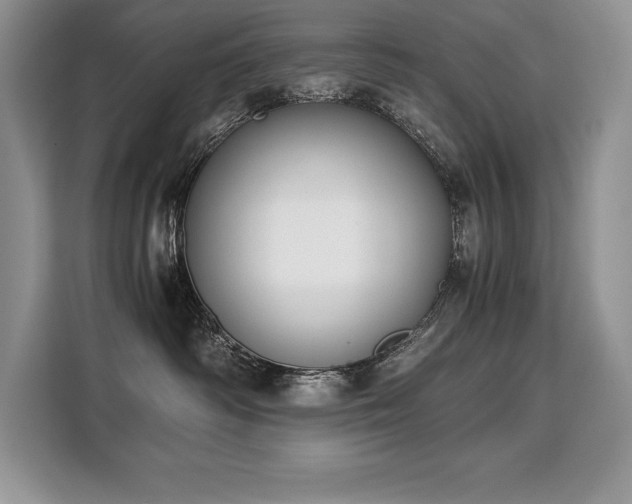X0000110320334200905211531