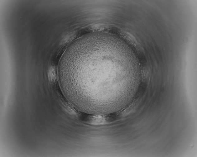 X0000110320335200905211531