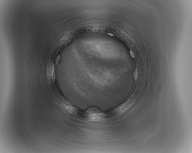 X0000110320336200905211531