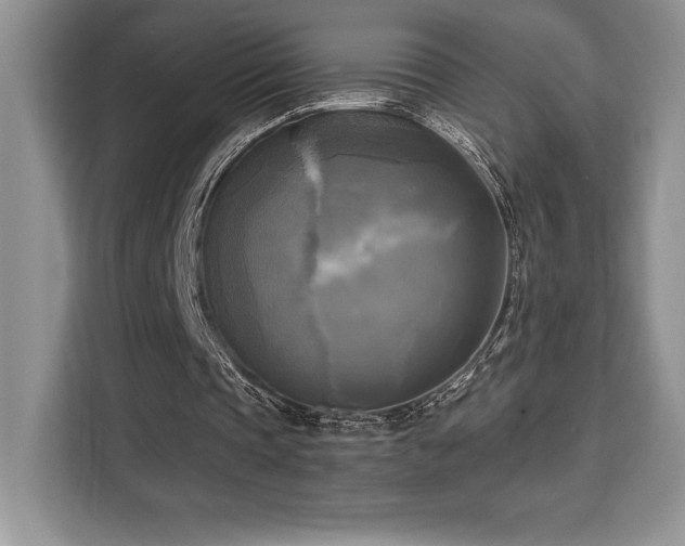 X0000110320337200905211531
