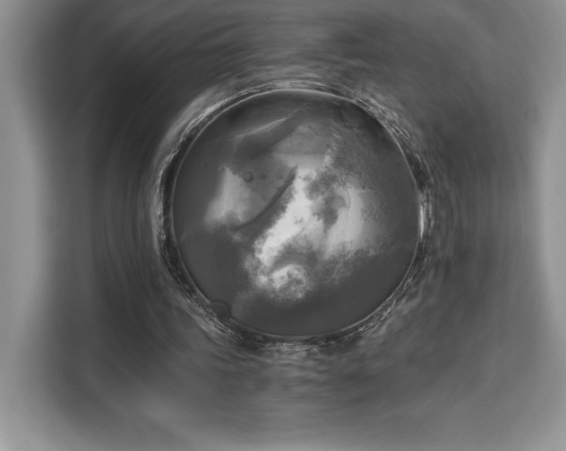 X0000110320339200905211531