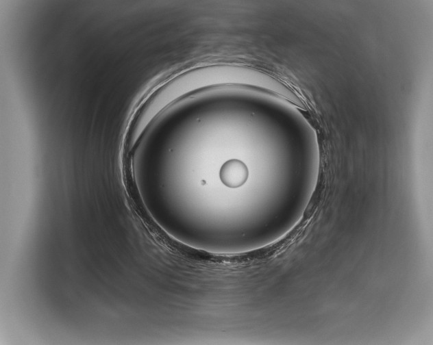 X0000110320340200905211531