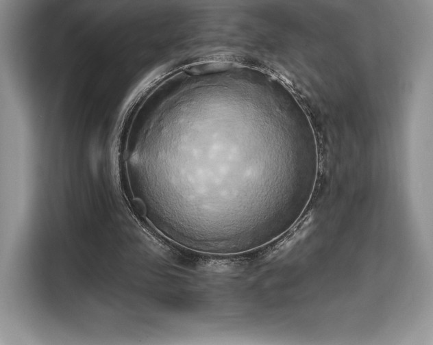 X0000110320341200905211531