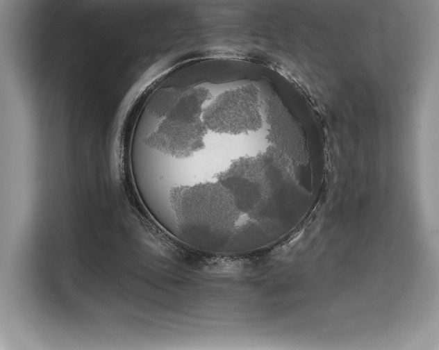 X0000110320343200905211531