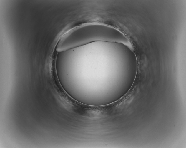 X0000110320344200905211531