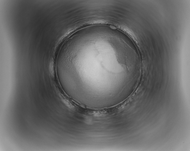 X0000110320345200905211531