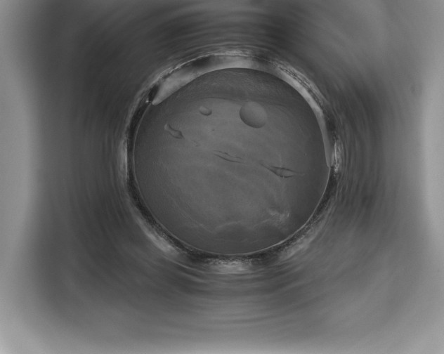 X0000110320349200905211531