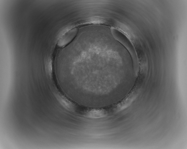 X0000110320350200905211531