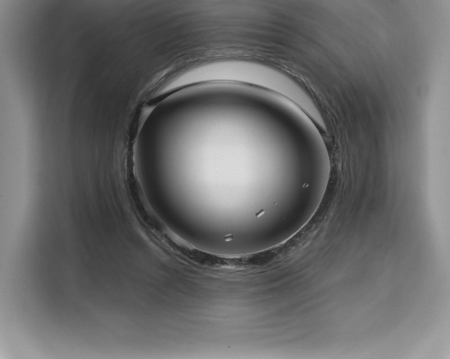 X0000110320352200905211531