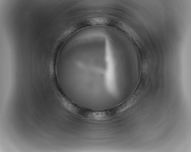 X0000110320353200905211531