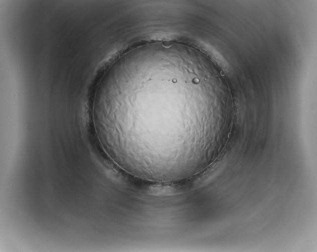 X0000110320354200905211531