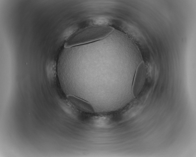 X0000110320356200905211531