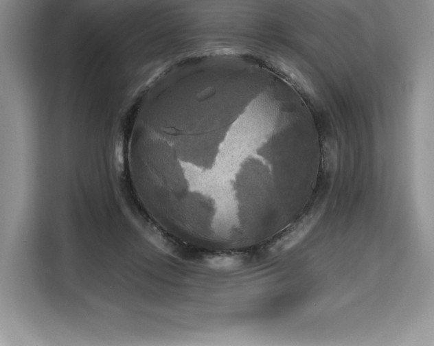 X0000110320358200905211531