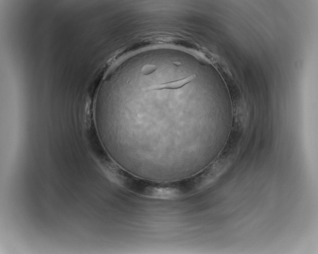 X0000110320360200905211531