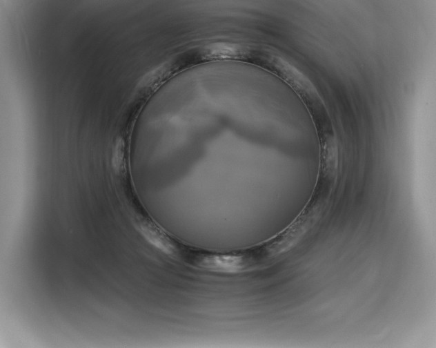 X0000110320361200905211531