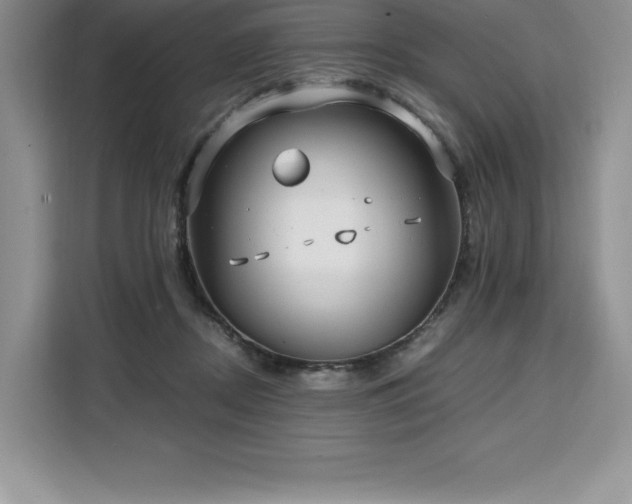 X0000110320362200905211531