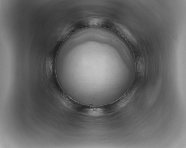 X0000110320363200905211531