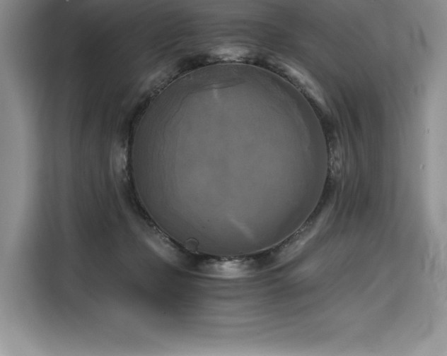X0000110320365200905211531