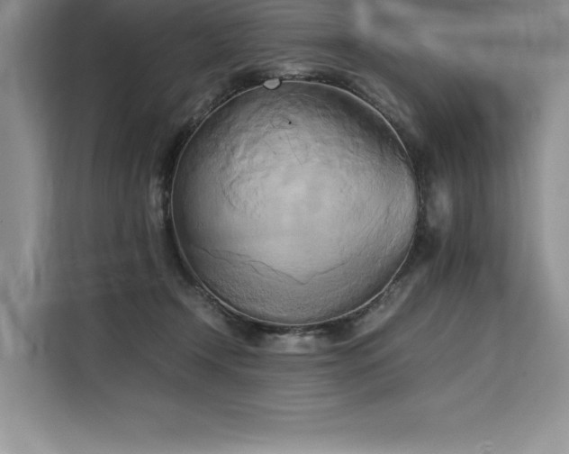 X0000110320366200905211531