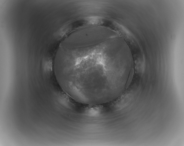 X0000110320368200905211531