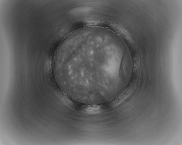 X0000110320369200905211531