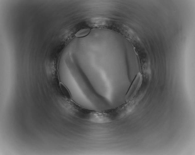 X0000110320372200905211531