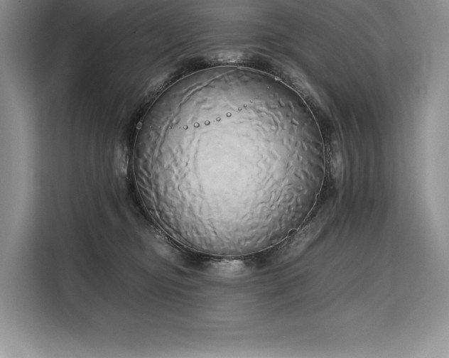 X0000110320374200905211531