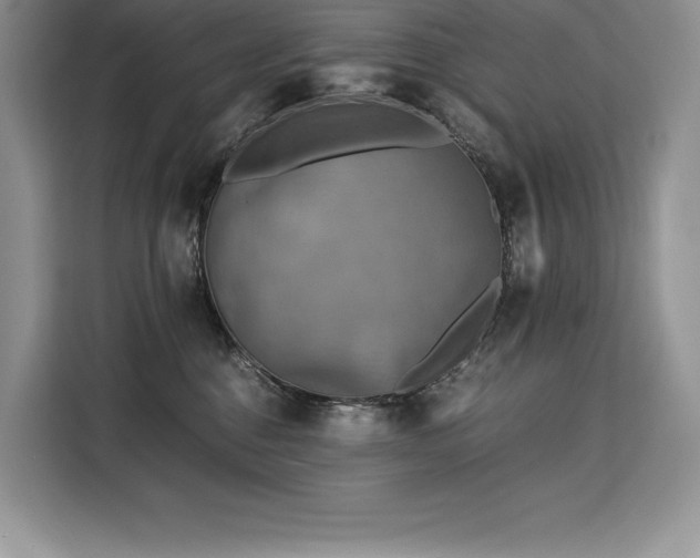 X0000110320376200905211531