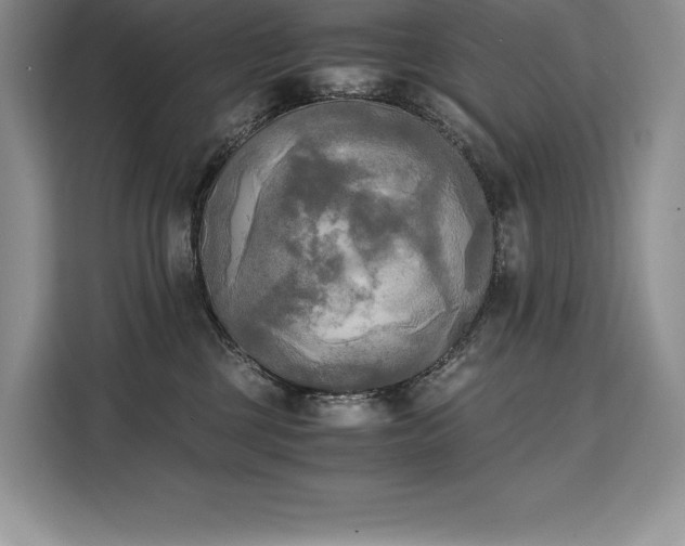 X0000110320377200905211531