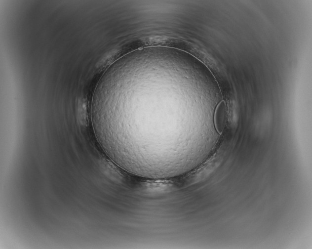 X0000110320378200905211531