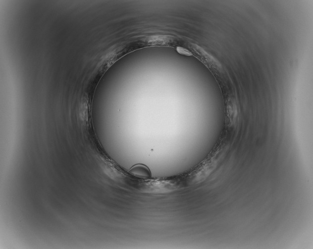 X0000110320379200905211531