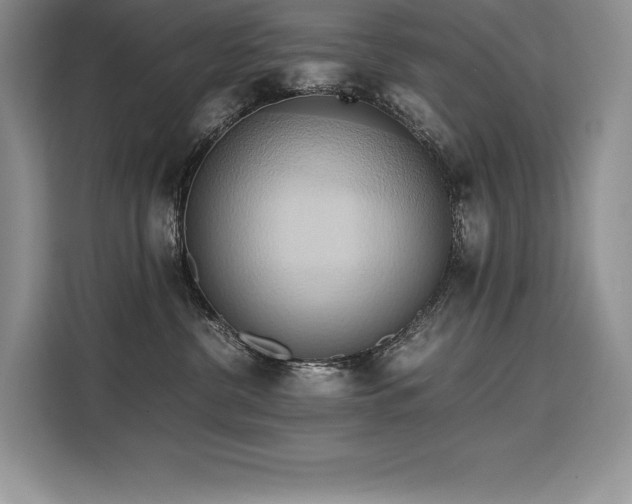 X0000110320380200905211531