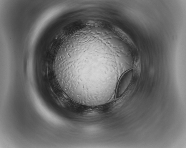 X0000110320381200905211531