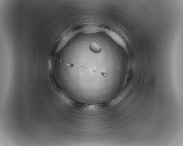 X0000110320382200905211531