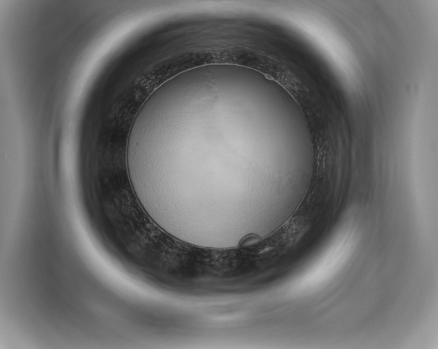 X0000110320383200905211531