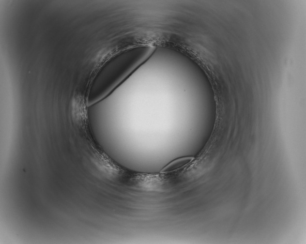 X0000110320384200905211531
